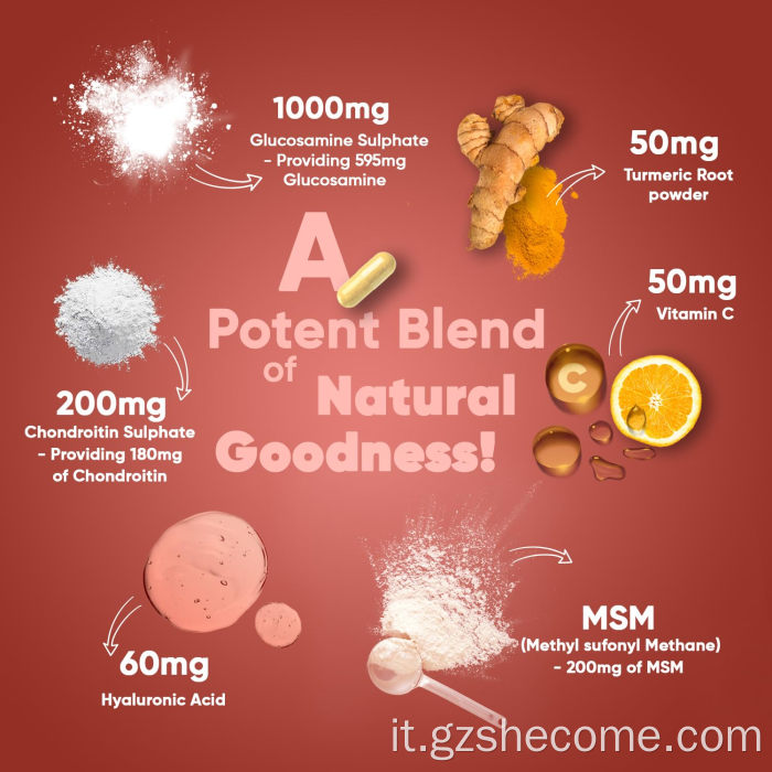 Supplemento sanitario congiunto MSM mantengono capsule di condroitina